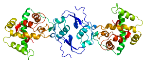 Protein_SPARC_Osteonectin_Struktur