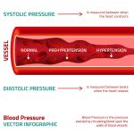 Blutdruck