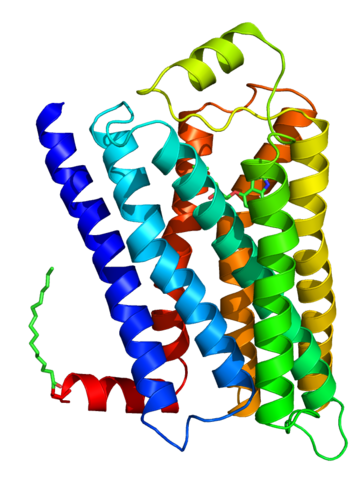 Aktivierung G-Protein-gekoppelter Rezeptoren